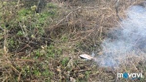 ?ПЕТАРДЫ ПРОТИВ ТЕЛЕФОНА NOKIA? ТОП 5 ПЕТАРД ПРОТИВ ТЕЛЕФОНА✅?