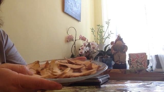 Как заготовить бесплатное удобрение дома зимой + защита экологии