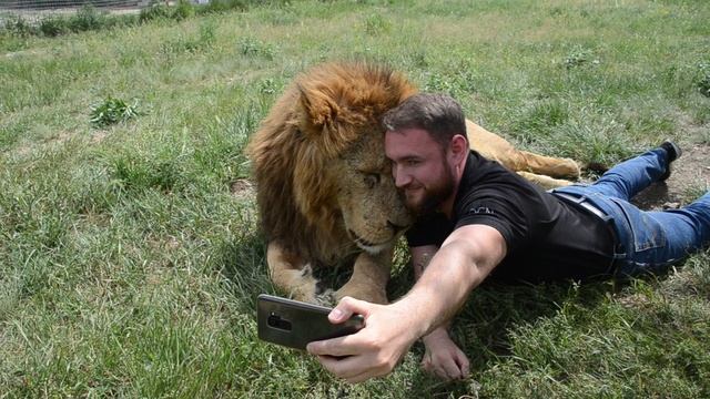 Тайган смотреть онлайн