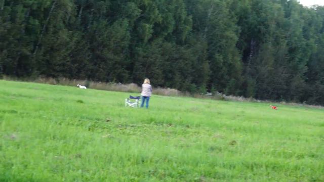 Уиипеты VREMYA NE ZHDYOT ERAGON (К) и AMBER VEIV’S MARIUS (Б). CACIL-ЧРКФ, Русский простор 2020. смотреть онлайн