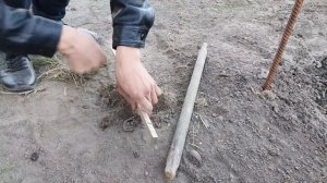 Простая и надёжная шпалера для малины и ежевики.