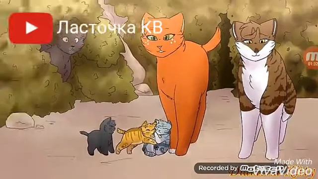 •Коты воители• - заказ для канала •Ленивая котя•~( Белка) ~ { девочке 17 смотреть онлайн