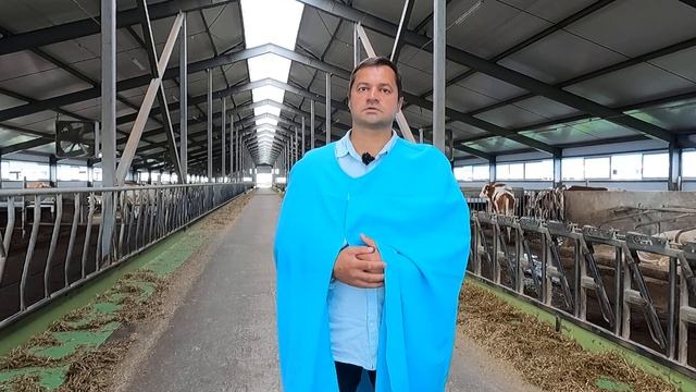 Сергей Буянов о молочной ферме Мамбетов и К смотреть онлайн