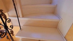 Берёзки Новолуговое