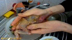 Рецепт куропатки. Куропатки запеченные в духовке.