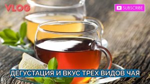 Пробую три вида чая и оцениваю их на вкус. Дегустация трёх чаев