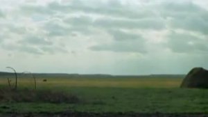 Видео 1 Ковалергарда век не долог