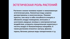 Значение растений в жизни человека