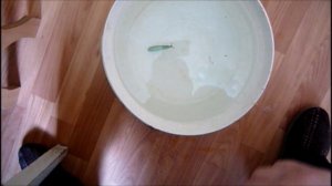 отгрузка воблеров(суспендотс)