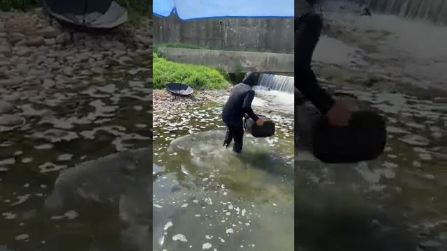 Fishing , Fishing Videos , village fishing , hand fishing , river fishing videos , #fishing смотреть онлайн