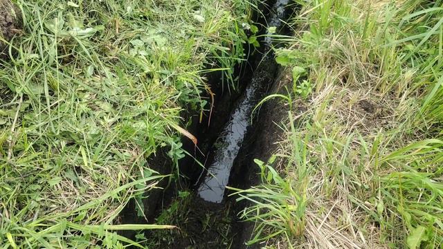 Грунтовые воды и дикая лещина на участке смотреть онлайн