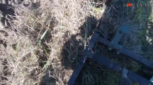 Вспашка огорода с не убранной соломой после комбайна!