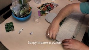 Проращивание семян в рулоне