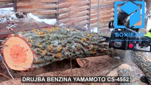 Drujba Yamamoto CS-4552, LAMA 45CM