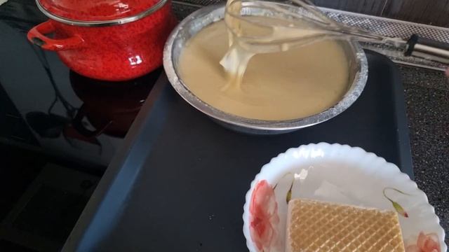 30 марта 2023 г.черенкую колеусы. смотреть онлайн