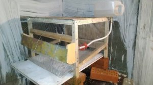 Клетка для перепелов Своими руками