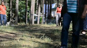 Проверка рабочих качеств на моно ВЕО . Работа фигуранта