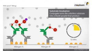 RIDA qLine®  Allergy    Allergy Panels for Quantitative Analysis of Specific IgE   YouTubemediante