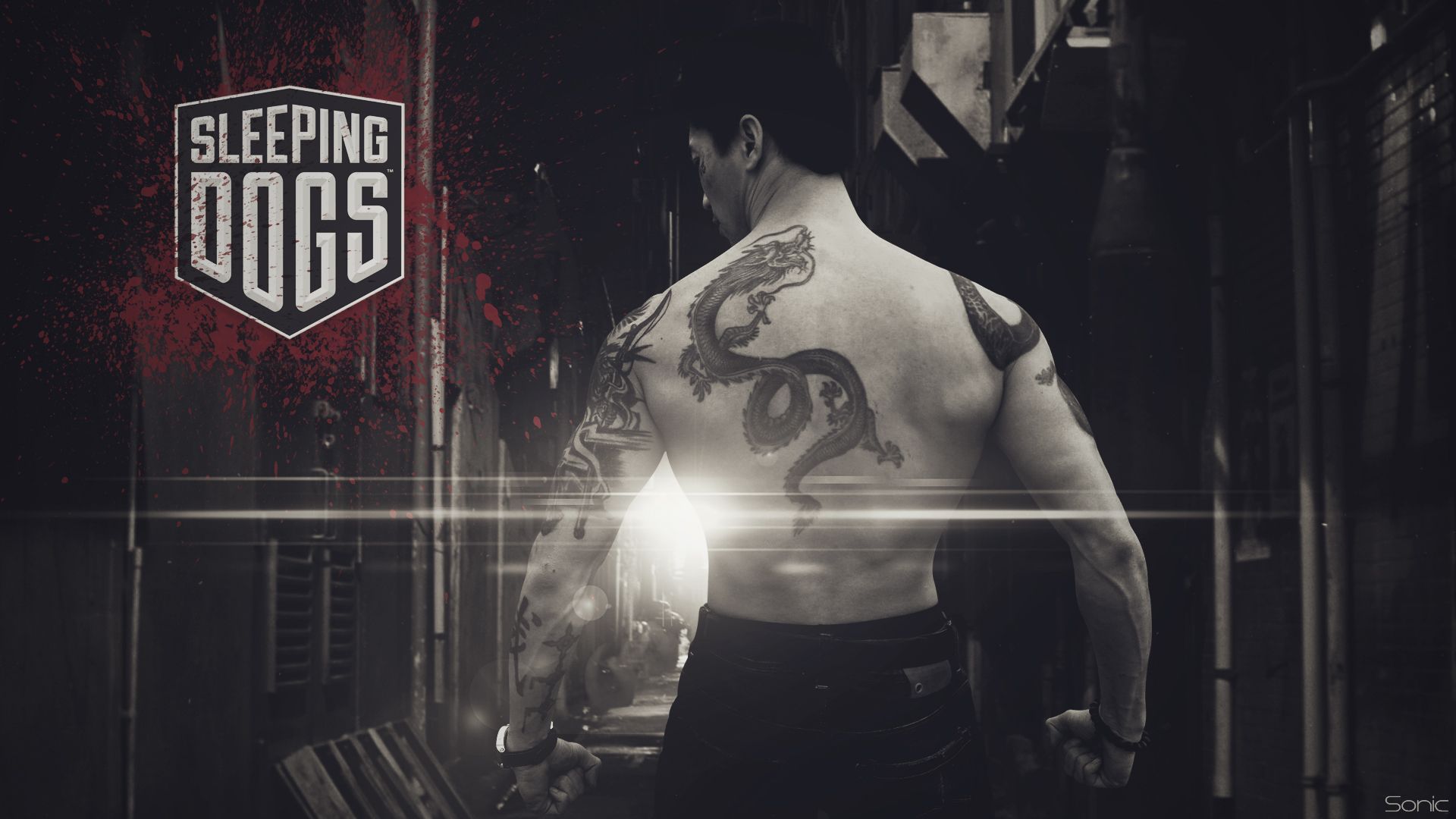 Sleeping dogs картинки