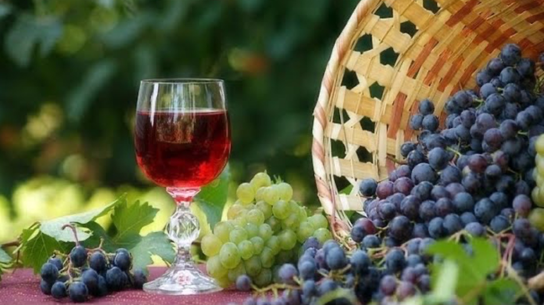 Домашнее вино из винограда _ подробный рецепт смотреть онлайн