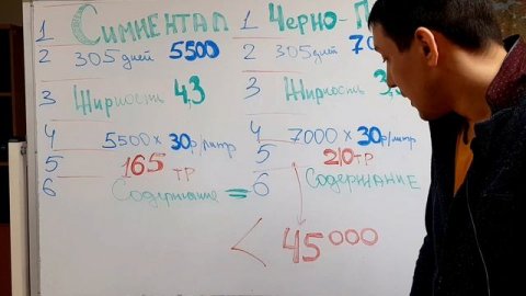 Какую породу выбрать? Симментал или Голштинская порода? В чем разница? Экономика фермы и породы КРС