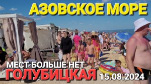#ГОЛУБИЦКАЯ. 15.08.2024. МЕСТ БОЛЬШЕ НЕТ. АЗОВСКОЕ МОРЕ