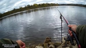 Осенняя плотва на пшеницу. Рыбалка на стук в сентябре на Оке.