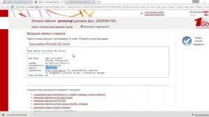 Подключаемся к БД для ДНД ЭТЛ Профессионал .Нет через интернет хостинг