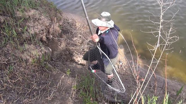 Ловля Толстолобика на Технопланктон смотреть онлайн