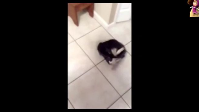 Кот отрыв,нижний брэйк,смотреть... Côte gap, the lower the break, watch ... смотреть онлайн