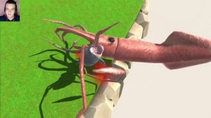 Мегалодон против Гигантского Кальмара | Кто сильнее? Animal Revolt Battle Simulator