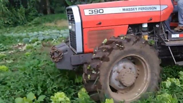 Massey Ferguson 390 y Agrator Afinador смотреть онлайн