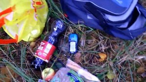 Лес, грибы и Garmin Etrex Legend GPS навигатор