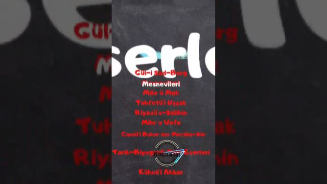 ~EDEBİYAT MAGAZİN~                                    16. YY ŞAİRİ GELİBOLULU MUSTAFA ALİ