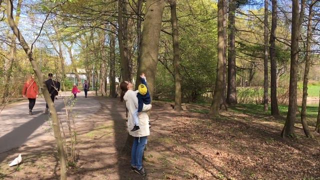 Кормим белок и лебедей. Теплый весенний день провели в парке ЦПКиО. смотреть онлайн