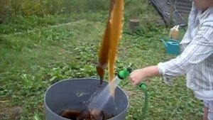 подготовка к сушке морской капусты