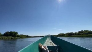 КАМЧАТКА / Море ГОРБУШИ за 3 часа. Осторожно, МЕДВЕДИ!