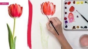 How to paint a 3D red tulip in watercolor with Anna Mason