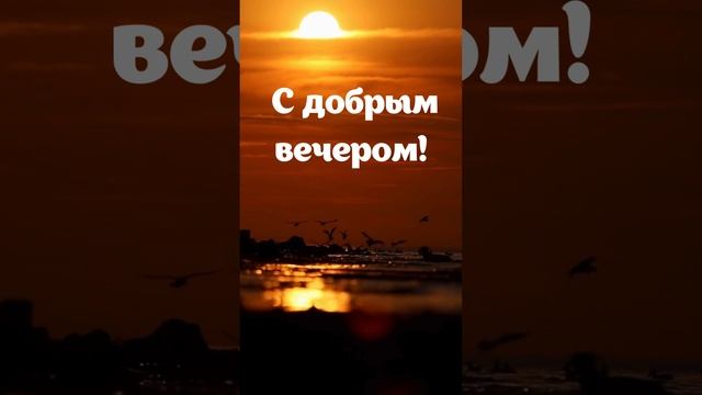 Видео поздравление с добрым вечером | SunPikRu