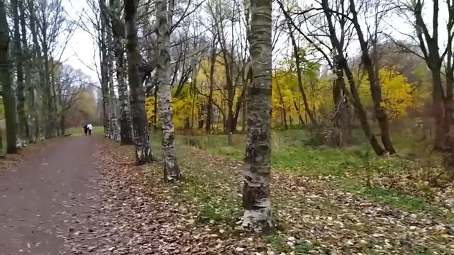 Полежаевский парк, юго-запад Петербурга | ноябрь 2020