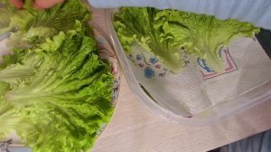 Как хранить листовой салат в холодильнике /L'Astuce  Conserver de la Salade au Frigo Plus Longtemps