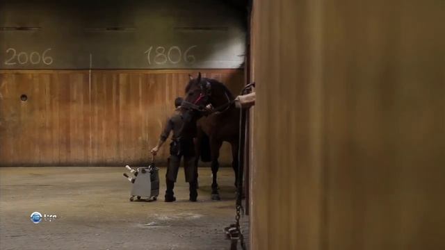 Милая Франция. Нормандия