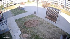 Озеленение двора