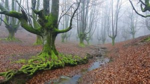 ОБ АНТИЧНОМ ПРОШЛОМ САНКТ ПЕТЕРБУРГА