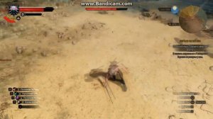 Ведьмак 3 - как убить Офирского мага The Wintcher 3