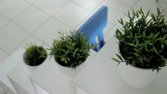 Реализованный дизайн - проект для компании