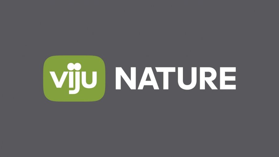 Viju. Viju explore лого