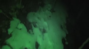 САМАЯ СТРАШНАЯ НОЧЬ В ЛЕСУ ! ЧТО СНЯЛА КАМЕРА ?