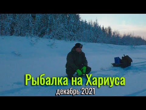 Рыбалка на хариуса. Зимняя рыбалка в декабре 2021. Республика коми..mp4
