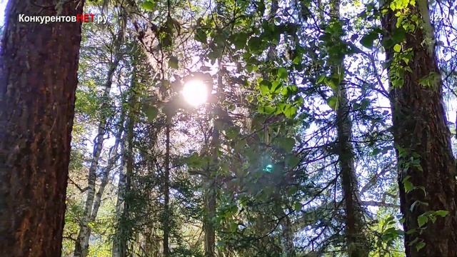 6-й день похода по Алтаю - 3 км ЧЕРЕЗ КАМНЕПАДЫ по Аккемской тропе к Трем березам смотреть онлайн